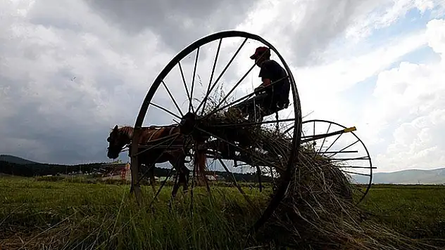 Elektrik borcu olan çiftçiye destek verilmeyecek