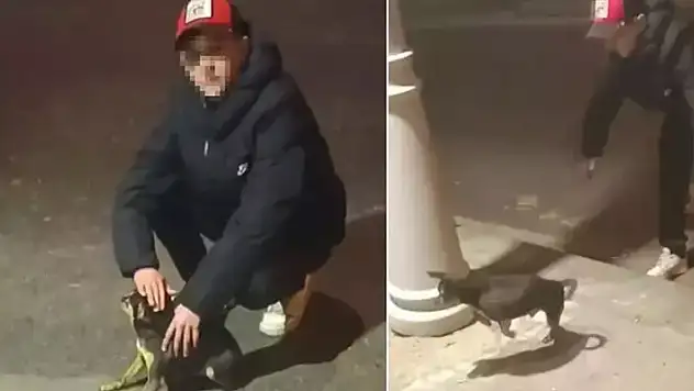 Elektrik kaçağını kontrol etmek için köpeği kullandı!

