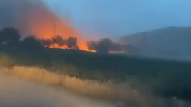 Elektrik teli koptu, çıkan yangında 5 dönüm arpa ekili tarla zarar gördü
