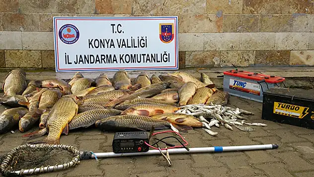 Elektroşokla balık avına 60 bin lira idari para cezası