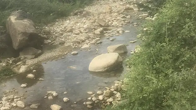 Eliyle balık tutmaya çalışırken taşa sıkıştı, boğularak hayatını kaybetti
