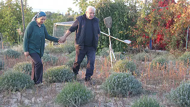 Emekliliğinden sonra memleketi Konya'ya yerleşti! Ata topraklarına lavanta bahçesi kurdu
