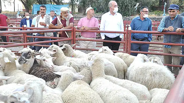 Emirgazi'den Manavgat'taki hayvan yetiştiricilerine anlamlı yardım
