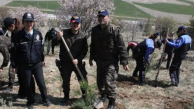 Emniyet 25 bin fidan dikti