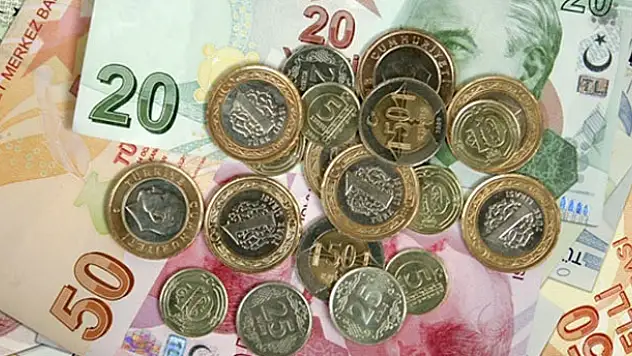 En çok kazanan TL oldu