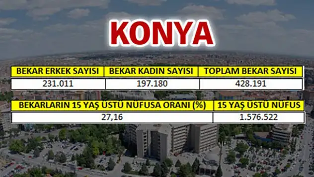 En fazla bekar hangi ilde?