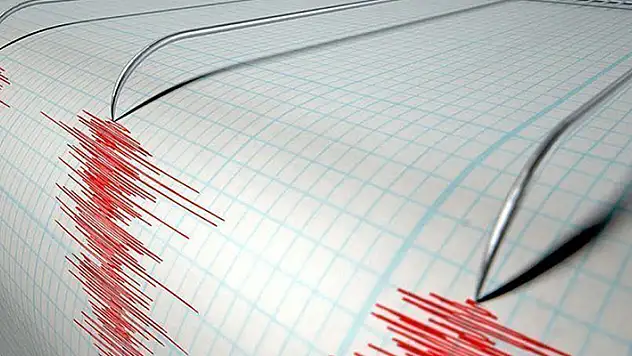 Endonezya'da 7,3 büyüklüğünde deprem
