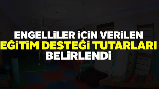 Engelliler için eğitim desteği tutarı belirlendi