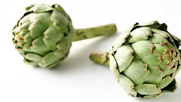Enginarın 'yaprakları' karaciğer dostu