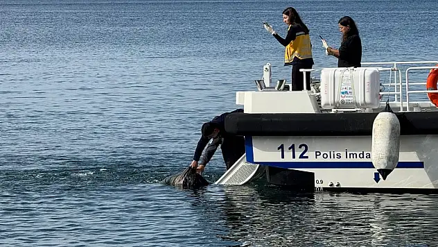 Erdek'te denizde ceset bulundu
