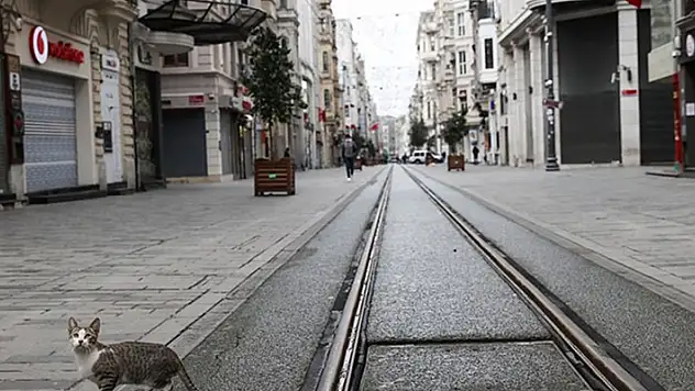 Erdoğan duyuracak! İşte adım adım açılma planı