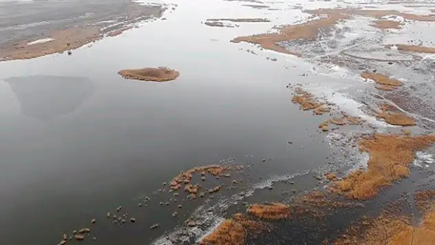 Ereğli Akgöl'de kuş sayımı yapılıyor