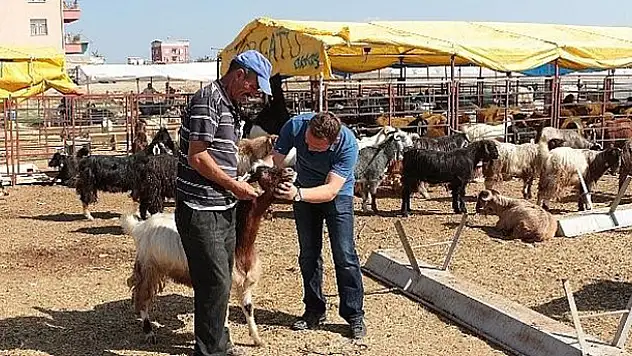 Ereğli Belediyesi Kurban Bayramı'na Hazır