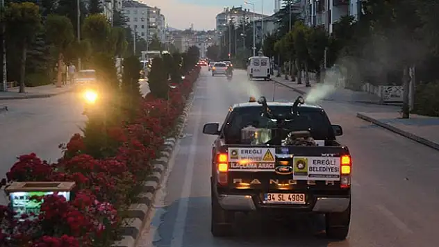 Ereğli Belediyesi'nden sinek ve haşerelere karşı erken önlem