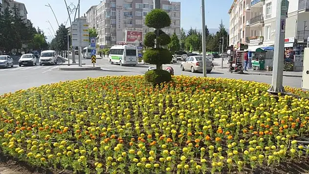 Ereğli Belediyesi park ve refüjlere çiçek dikimini sürdürüyor
