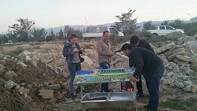 Ereğli Belediyesi Sokak Hayvanlarına Sahip Çıkıyor