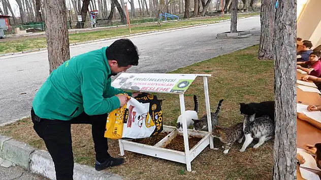 Ereğli Belediyesi sokak hayvanlarına sahip çıkıyor
