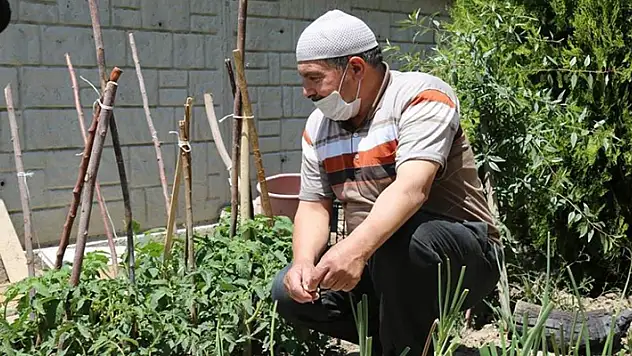 Ereğli Belediyesi tarafından dağıtılan fideler mahsullerini başladı
