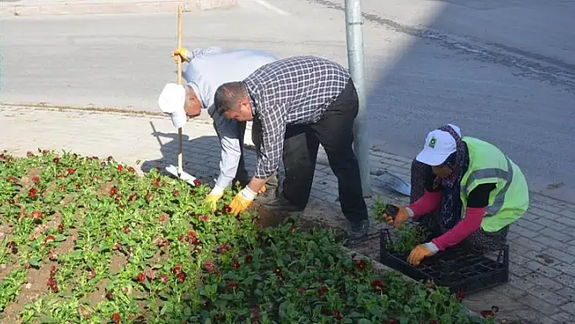 Ereğli Belediyesinde çevre düzenleme çalışmaları devam ediyor
