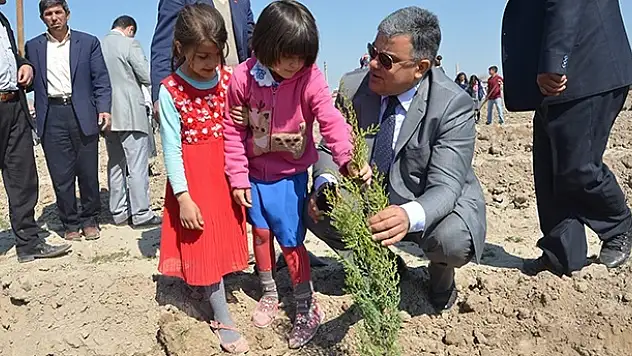 Ereğli'de 4 bin adet fidan dikildi