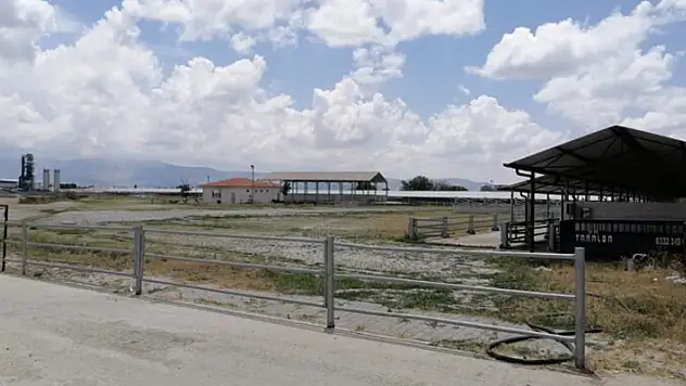 Ereğli'de canlı hayvan pazarı tedbir amaçlı faaliyete kapatıldı

