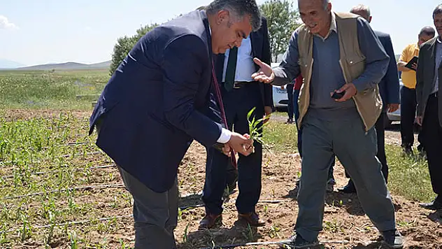 Ereğli'de dolu yağışı yüzde 80 zarar verdi