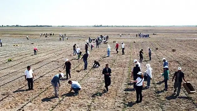 Ereğli'de organik tarımda ilk adım atıldı
