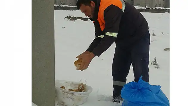 Ereğli'de sokak hayvanlarına yem bırakıldı