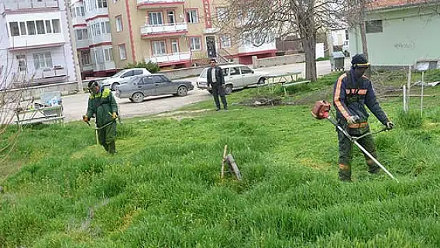 Ereğli'de temizlik