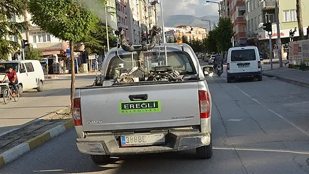 Ereğli Gül Kokuyor