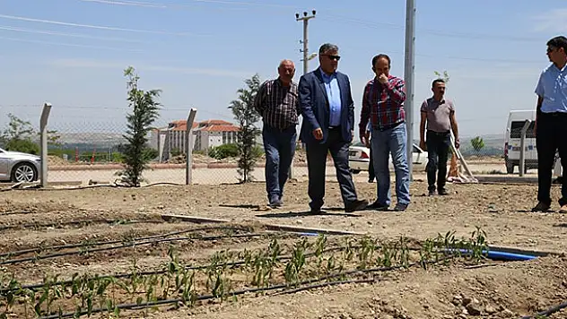 Ereğli hobi bahçeleri sahiplerini bekliyor