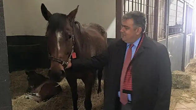 Ereğli'ye atlı spor kulübü  kazandırmak istiyor