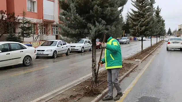 Ereğli'de bahar hazırlıkları devam ediyor
