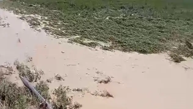 Ereğli'de dolu ve sel çiftçiyi vurdu
