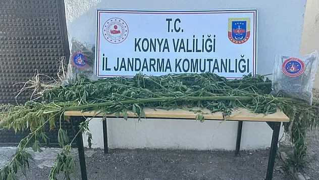Ereğli'de uyuşturucu operasyonu