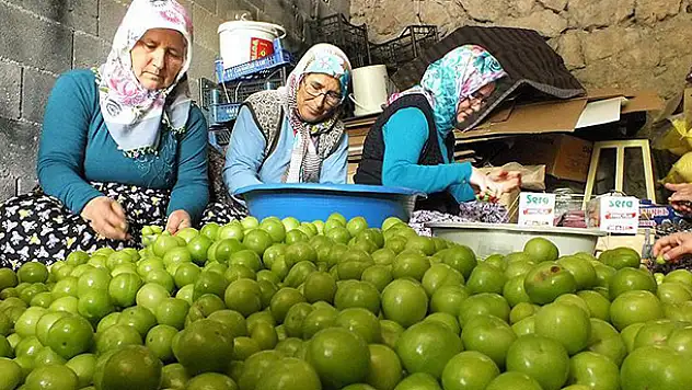 Eriğin fiyatı 30 liraya düştü
