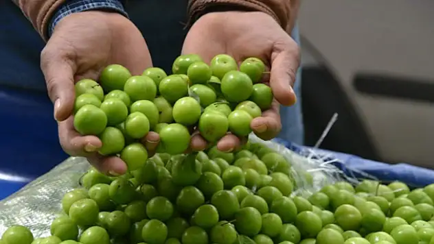 Eriğin kilosu dudak uçuklatıyor