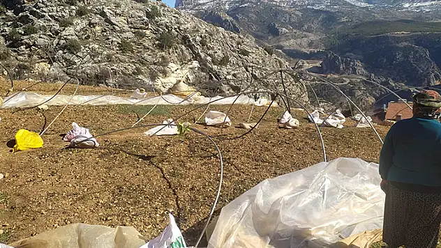 Ermenek'te kuvvetli rüzgar seralara zarar verdi

