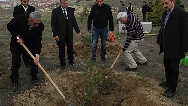 Ermenek'teki maden şehitleri için fidan dikildi