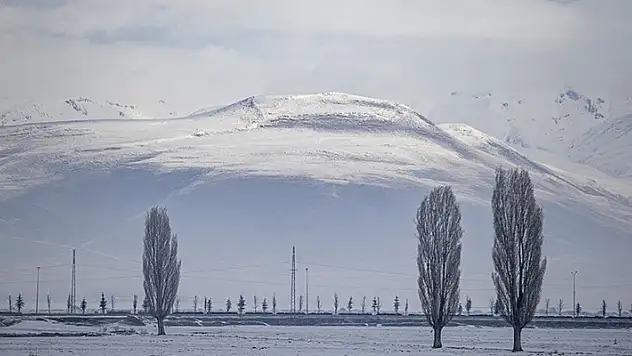 Erzurum, Ardahan, Tunceli ve Kars'ta dondurucu soğuklar hakim
