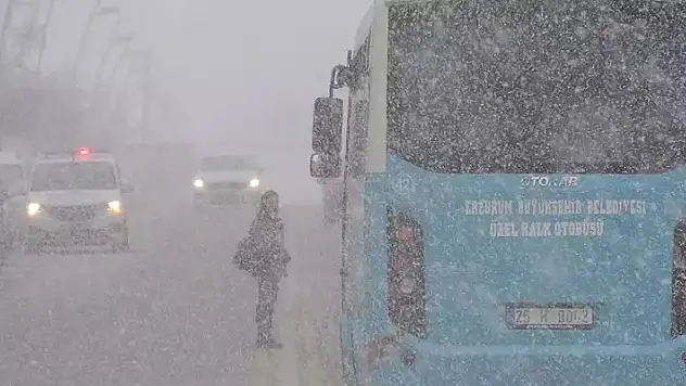 Erzurum'da kar yağışı: 147 mahallenin yolu ulaşıma kapandı

