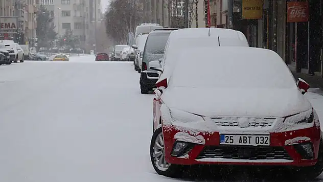 Erzurum, Kars ve Ardahan'da kar yağışı etkili oldu

