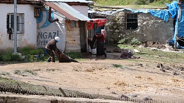 Erzurum'da sağanak sele neden oldu, ev ve ahırları su bastı
