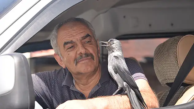 Erzurumlu Yüksel Özpolat'la karga Cingöz'ün 4 yıllık dostluğu
