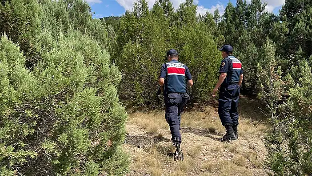 Eskişehir'de ormanda ateş yakan kişilere para cezası uygulandı
