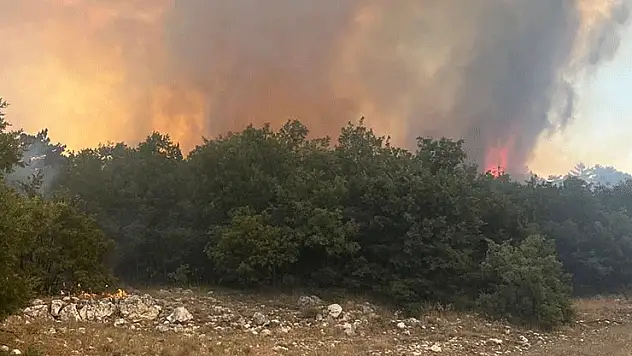 Eskişehir'de çıkan orman yangınına müdahale ediliyor