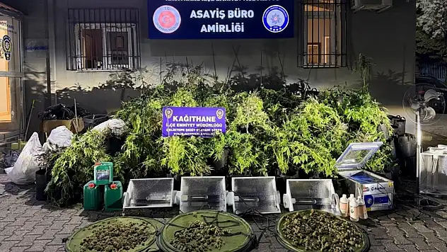 Evde kurulan profesyonel uyuşturucu serasına operasyon