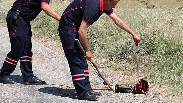 Eve giren yılanı itfaiye çıkardı