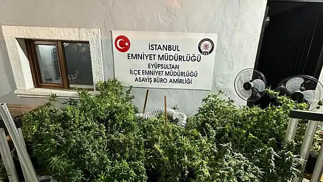 Evi uyuşturucu serasına çeviren 4 şüpheli, polis gelince kaçmaya çalışırken yakalandı