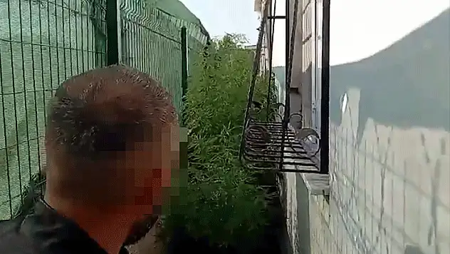 Evinden uyuşturucu haplar çıktı 'Baş ağrımdan dolayı içiyorum' dedi